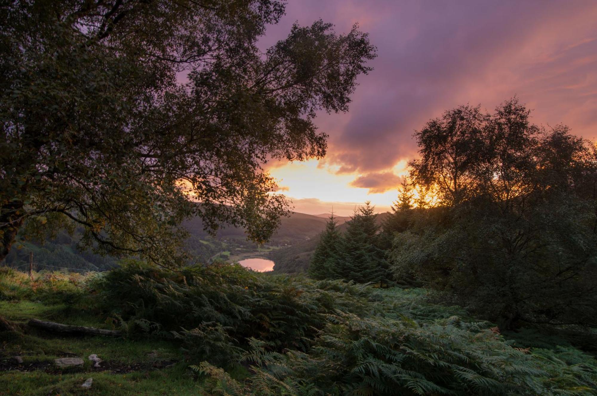 Glendalough International Youth Hostel 래라흐 외부 사진
