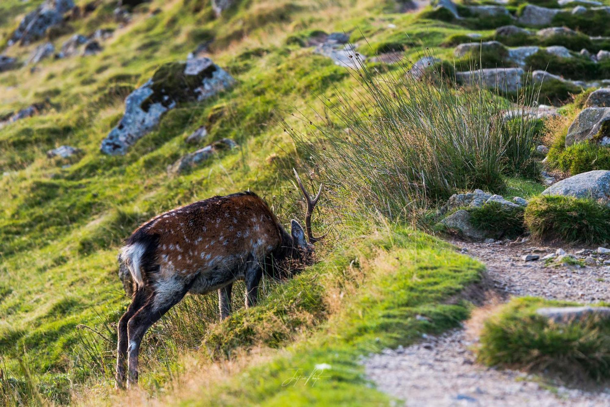 Glendalough International Youth Hostel 래라흐 외부 사진